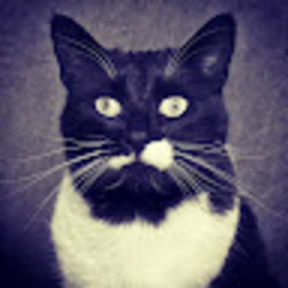 Meet your Posher, Lindsay - Picture 1 of 1